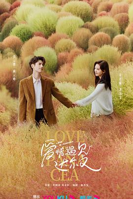 SEO对各种类型的网站各有什么作用